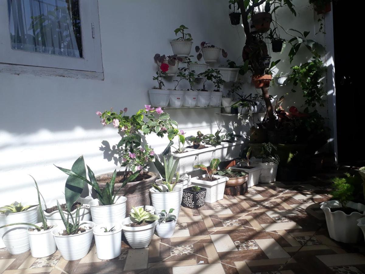 Bu Mimi Home Stay Painan Exterior foto