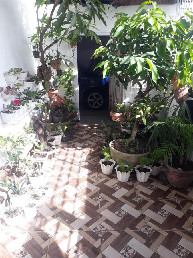 Bu Mimi Home Stay Painan Exterior foto
